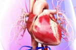 طراحی داربستی برای ایجاد مدل‌های قلبی در شرایط آزمایشگاهی