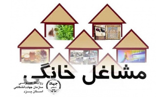 نگاه ویژه جهاددانشگاهی یزد به حمایت از مشاغل خانگی