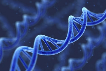 ایجاد مرکز توسعه فناوری مواد پیشرفته نقشه راه تحول صنعتی یزد است